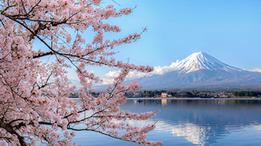 Mount fuji at Lake kawaguchiko with cherry blossom in Yamanashi near Tokyo, Japan
