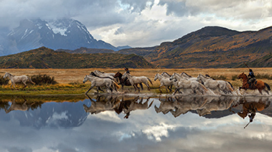 Chilean Gauchos and herd of horses in Torres del Paine National Park, Patagonia, Chile