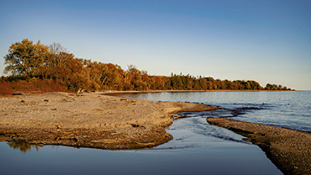 McLaughlin Bay Wildlife Reserve in Oshawa