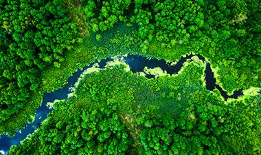Aerial view of a river running through lush green landscape
