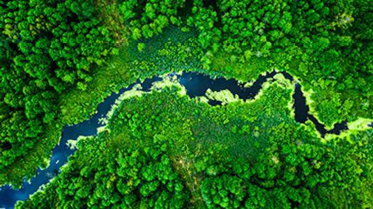 Aerial view of a river running through lush green landscape