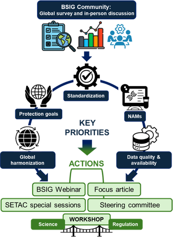 Figure 1. BSIG priorities and planned actions emerging from the SETAC Maastricht business meeting