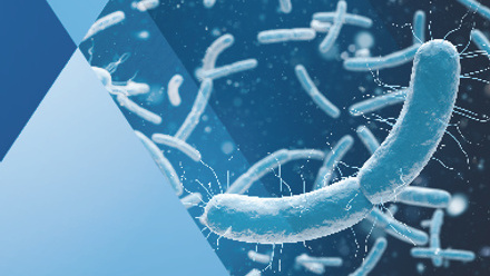 3D rendering bacteria closeup in blue background