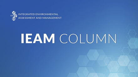 IEAM column graphic