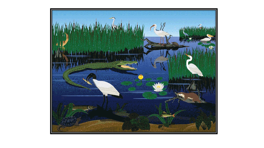 animals in a pond to represent ecosystem