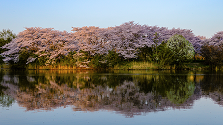 Tsukuba, Japan