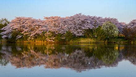 Tsukuba, Japan