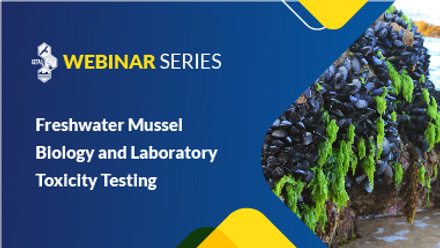 setac-webinars-freshwater-mussels-featured-image