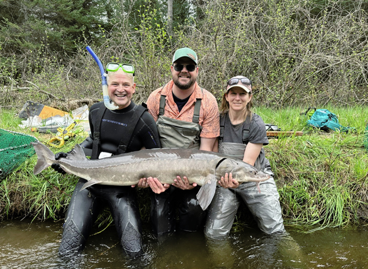 2025 RNRF grant supports a Michigan State University project for Lake Sturgeon, led by SETAC member Scott Colborne