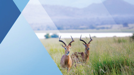 SETAC 9th World Congress abstract book featured image