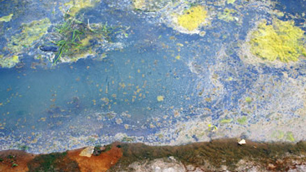 Close up of polluted water