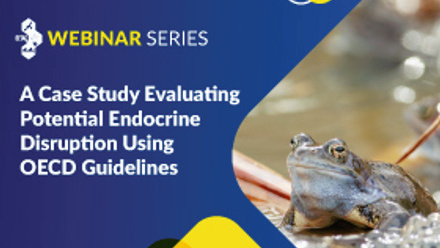 SETAC Webinar title image: A Case Study Evaluating Potential Endocrine Disruption using OECD Guidelines