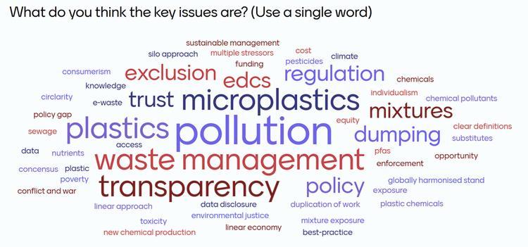 Word cloud generated via a survey of session participants during the SETAC World Congress in Johannesburg.