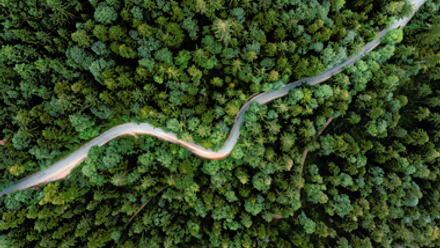 Aerial view of road winding through summer forrest