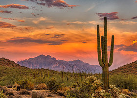 Sonoran sunset, Phoenix