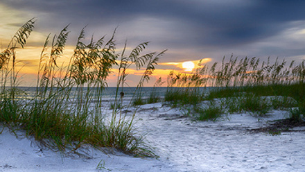 Florida Gulf Coast