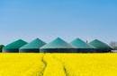 green silos in a field of yellow vegetation