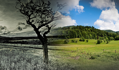 Polluted environment on left side and pristine landscape on right