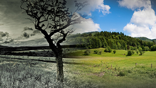 Polluted environment on left side and pristine landscape on right