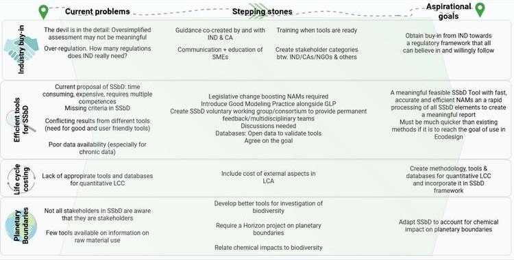 List of SSbD problems, stepping stones and goals