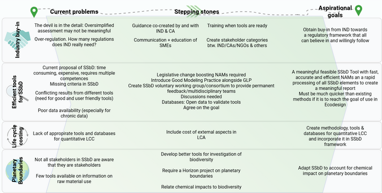 List of SSbD problems, stepping stones and goals
