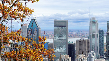 Montreal skyline with orange foliage 
