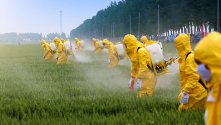 pesticide application