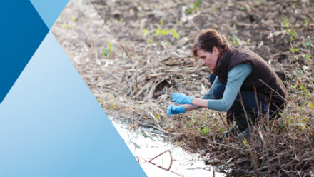 Researcher sampling water from a creek - for illustration purposes