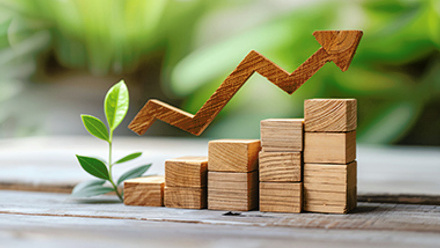 Rising Success: Natural Growth and Business Development Illustrated in Harmony