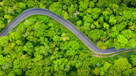 Aerial view of road winding through lush green forrest